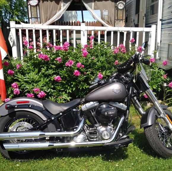 Meet your Posher, Colleen - Picture 4 of 12